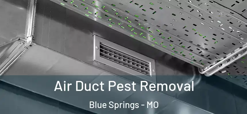  Air Duct Pest Removal Blue Springs - MO