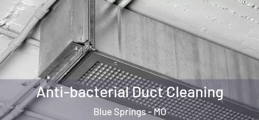  Anti-bacterial Duct Cleaning Blue Springs - MO
