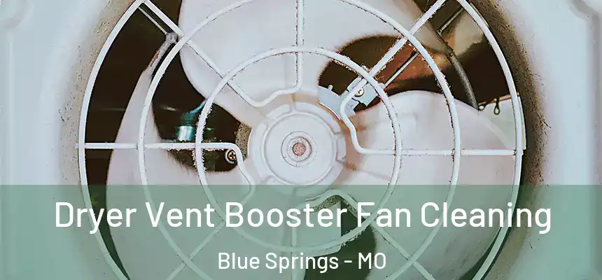  Dryer Vent Booster Fan Cleaning Blue Springs - MO