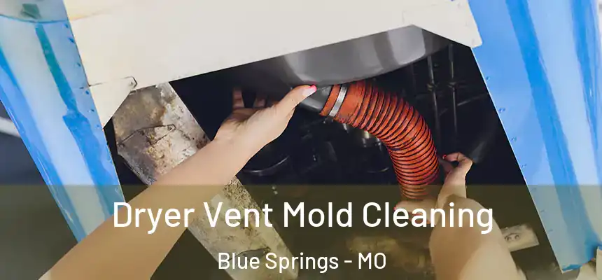  Dryer Vent Mold Cleaning Blue Springs - MO