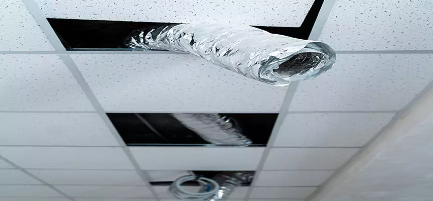 Affordable HVAC Sanitizing After Pest Removal in Blue Springs