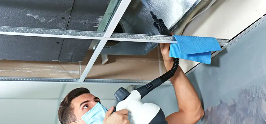 Our Air Duct Rodent Removal Services in Blue Springs, MO