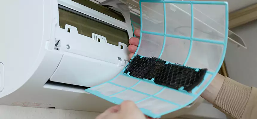 Gentle Ductwork Odor-Control Pet Dander Duct Cleaning in Blue Springs, MO