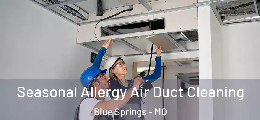  Seasonal Allergy Air Duct Cleaning Blue Springs - MO