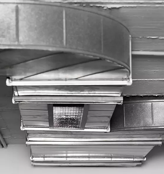 Professional Air Duct Pet Hair Removal in Blue Springs, MO