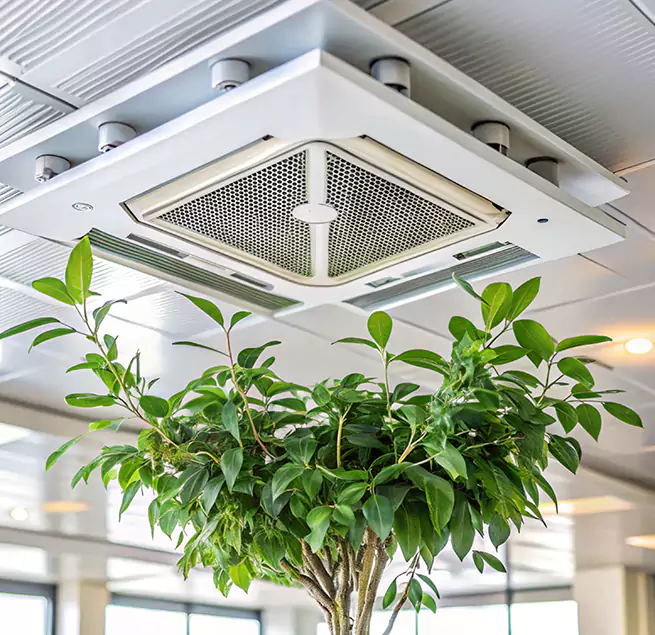 Why Homeowners & Businesses Trust Us in Blue Springs, MO