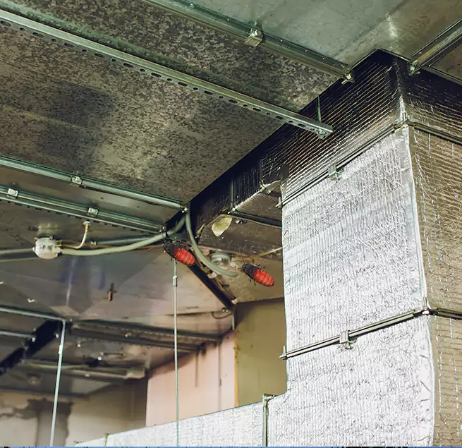 Why Homeowners & Businesses Trust Us Blue Springs, MO?